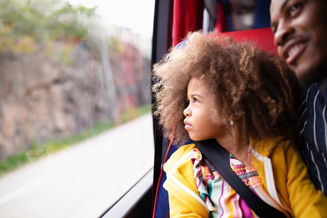 Arlanda Airport Bus Transfer Departure - Mobile ticket and voucher checks: avoid boarding-day stress