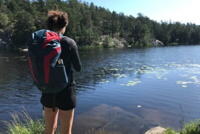Forestbathing Slow Walking and Healing Spring Water, Stockholm - The 4-hour flow: slow steps, senses, and a real breather