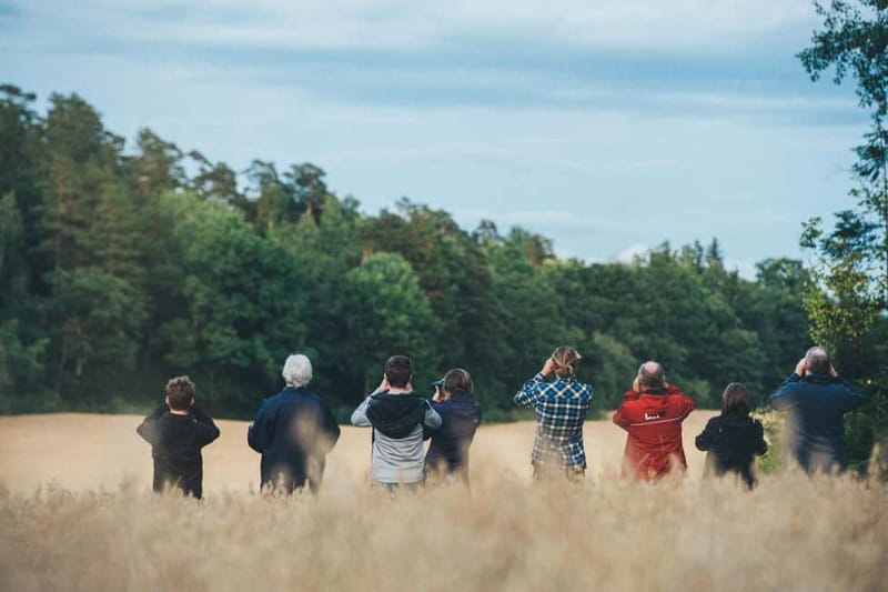 From Stockholm: Moose & Wildlife Safari with Campfire Dinner - Key things to know before you go