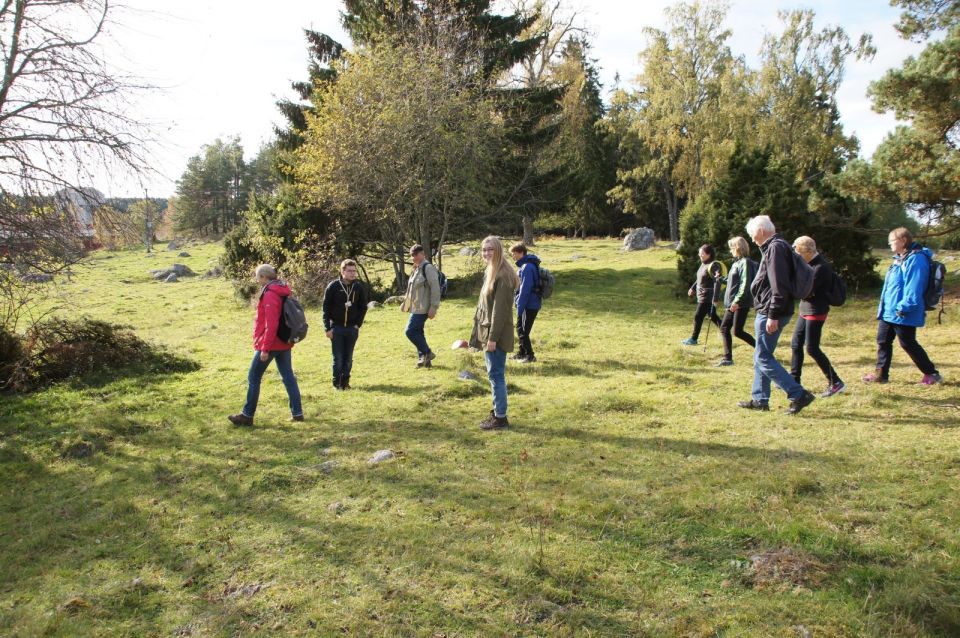 From Stockholm: Viking Culture Guided Tour with Transfer - The Viking council site: where decisions met place