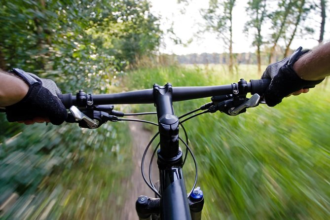 Mountain Biking Small-Group in Stockholm Forests for Beginners - Price and Value: What $144 Buys You in Real Riding Time