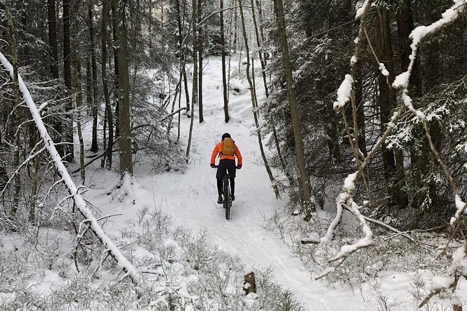 Mountain Biking Small-Group in Stockholm Forests for Beginners - Bikes, Clothes, and the Shoe Question (No Cleats Needed)