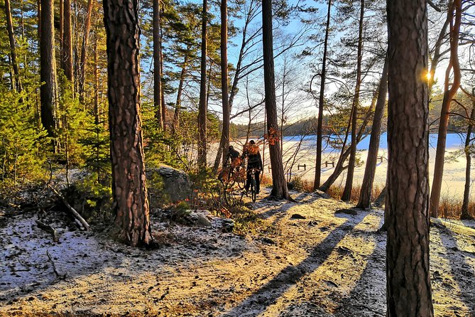 Mountain Biking Small-Group in Stockholm Forests for Beginners - Who This Tour Suits Best (And Who Might Want a Different Option)