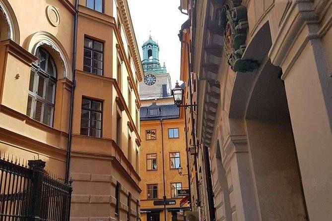 Private Car Tour of Stockholm with a Live guide, including the Vasa museum. - Vasa Museum: The 17th-Century Warship That Explains Sweden