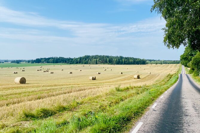 Private Roadbike Adventure in Stockholm - Price and value: what $289.11 per person buys you