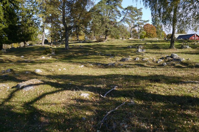 Private Tour: Swedish History Day Trip to World Heritage Candidate Markim-Orkesta from Stockholm - Stop 1: Arkils tingstad and the Viking assembly-site feeling