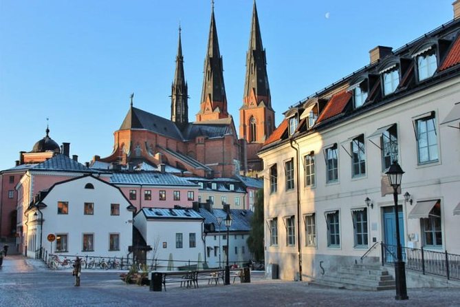 ROYAL Uppsala and VIKING Sigtuna PRIVATE Tour - Weather and tickets: the small planning notes that can save your day
