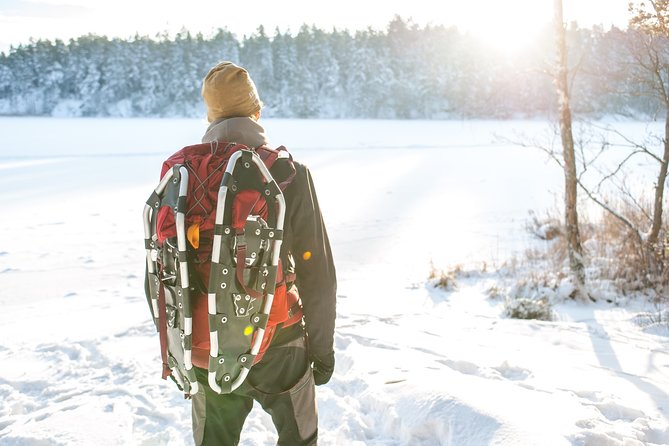 Snowshoe Winter Hike from Stockholm - Key highlights to know before you go