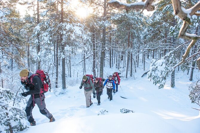 Snowshoe Winter Hike from Stockholm - The walk itself: comfortable pace, forest talk, and navigation tips