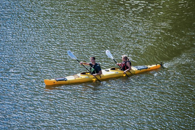 Stockholm City Evening Kayak Tour - Price and value: is $169.01 worth it?