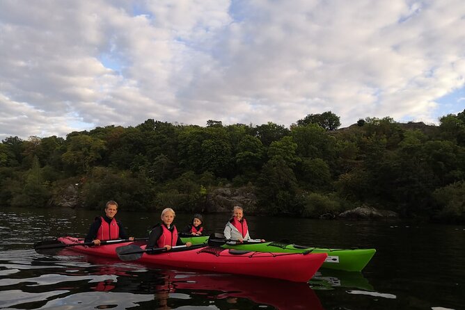 Stockholm Evening Kayak with BBQ - Small Group - Passing Stockholm City Hall from the kayak