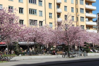 Stockholm Private Tour with a Local: Hip & Bohemian Sodermalm 3hr - Starting point: NK Korv & Glass and a tour that stays on foot
