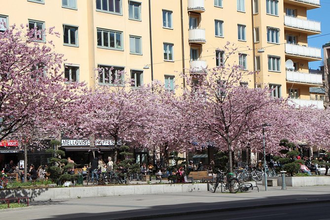 Stockholm Private Tour with a Local: Hip & Bohemian Sodermalm 3hr - Starting point: NK Korv & Glass and a tour that stays on foot