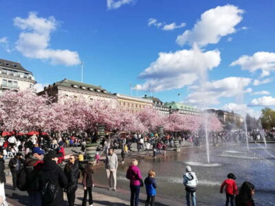 Stockholm: Scandinavian Architecture & Design Ostermalm Tour - Svampen and the pacing of a 3-hour architecture walk