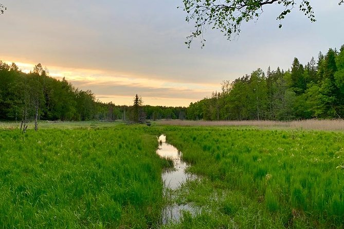Stockholm: Sunset Hike in Tyresta National Park with Meal - Key things that make this sunset hike work
