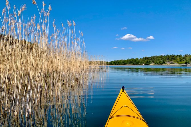 Sunset Kayak Tour in the Stockholm Archipelago + Swedish Fika - Equipment and guides: where the experience gets its trust