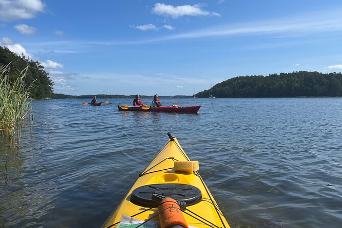 Sunset Kayak Tour in the Stockholm Archipelago + Swedish Fika - Group size, pacing, and who will enjoy this most