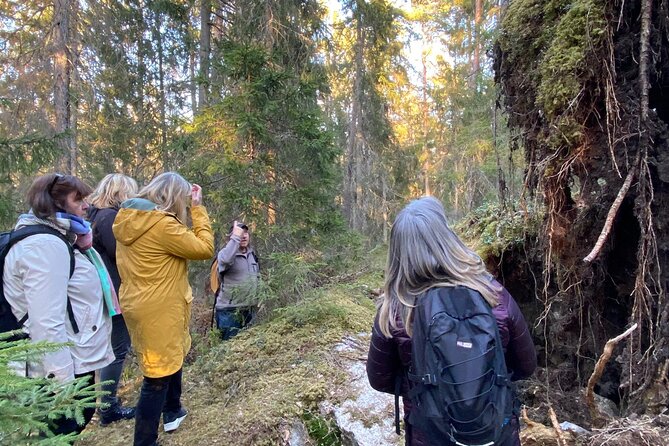 Wolf and Wildlife Tracking in Sweden - Key things that make this wolf tracking day worth your time