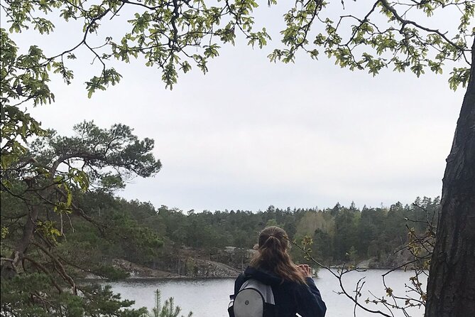 Wolf and Wildlife Tracking in Sweden - How guides spot wolf signs you’ll actually understand